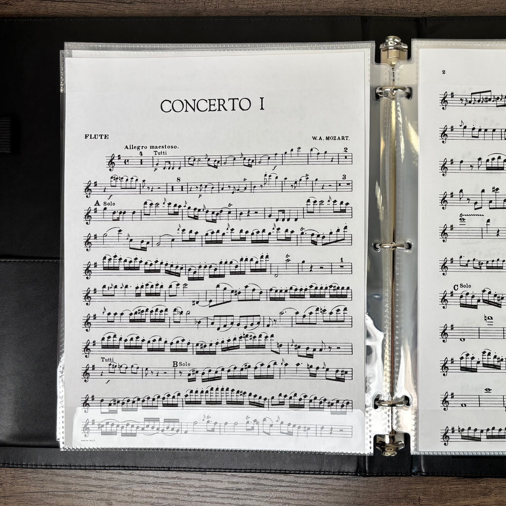 Writable Sheet Music Protectors