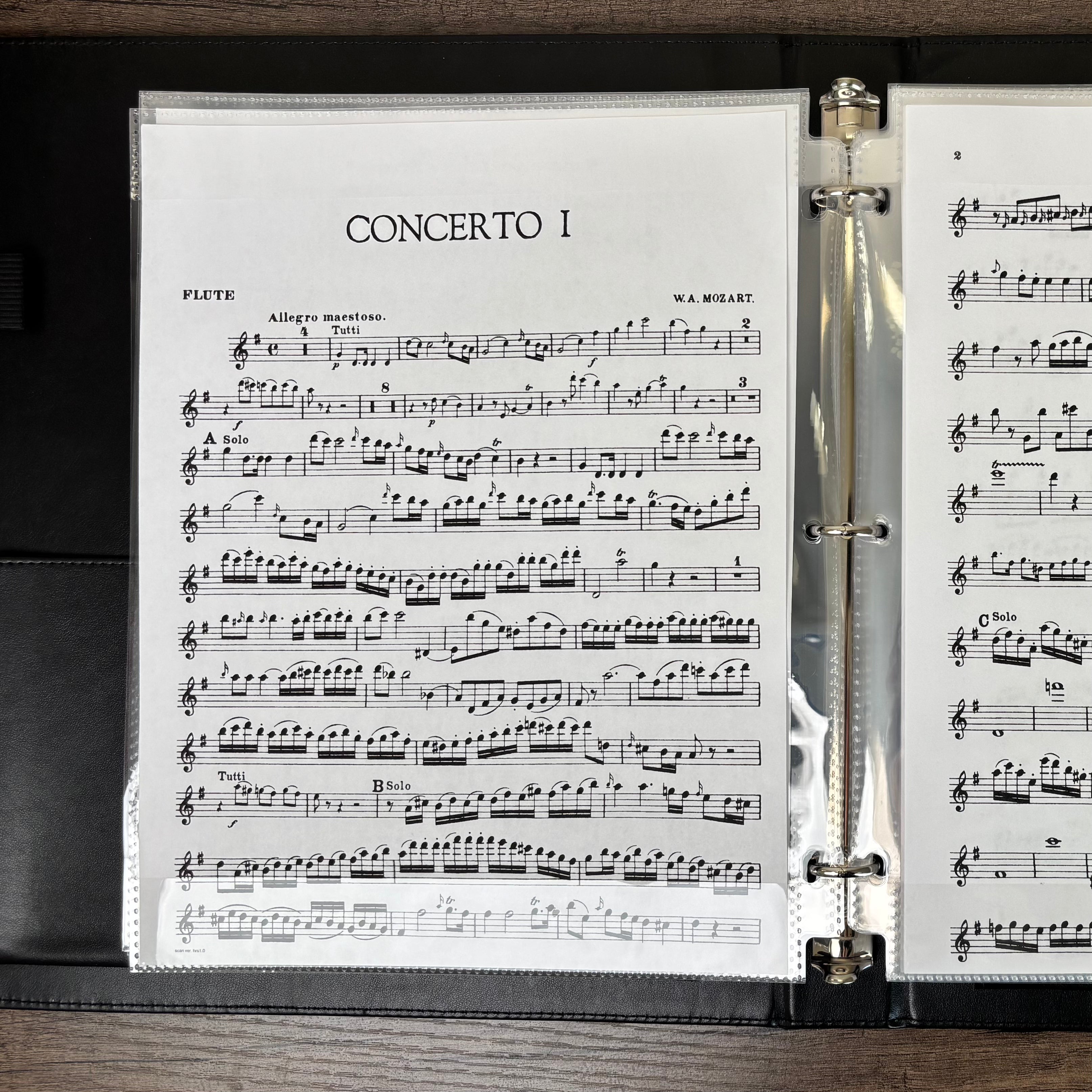 Writable Sheet Music Protectors