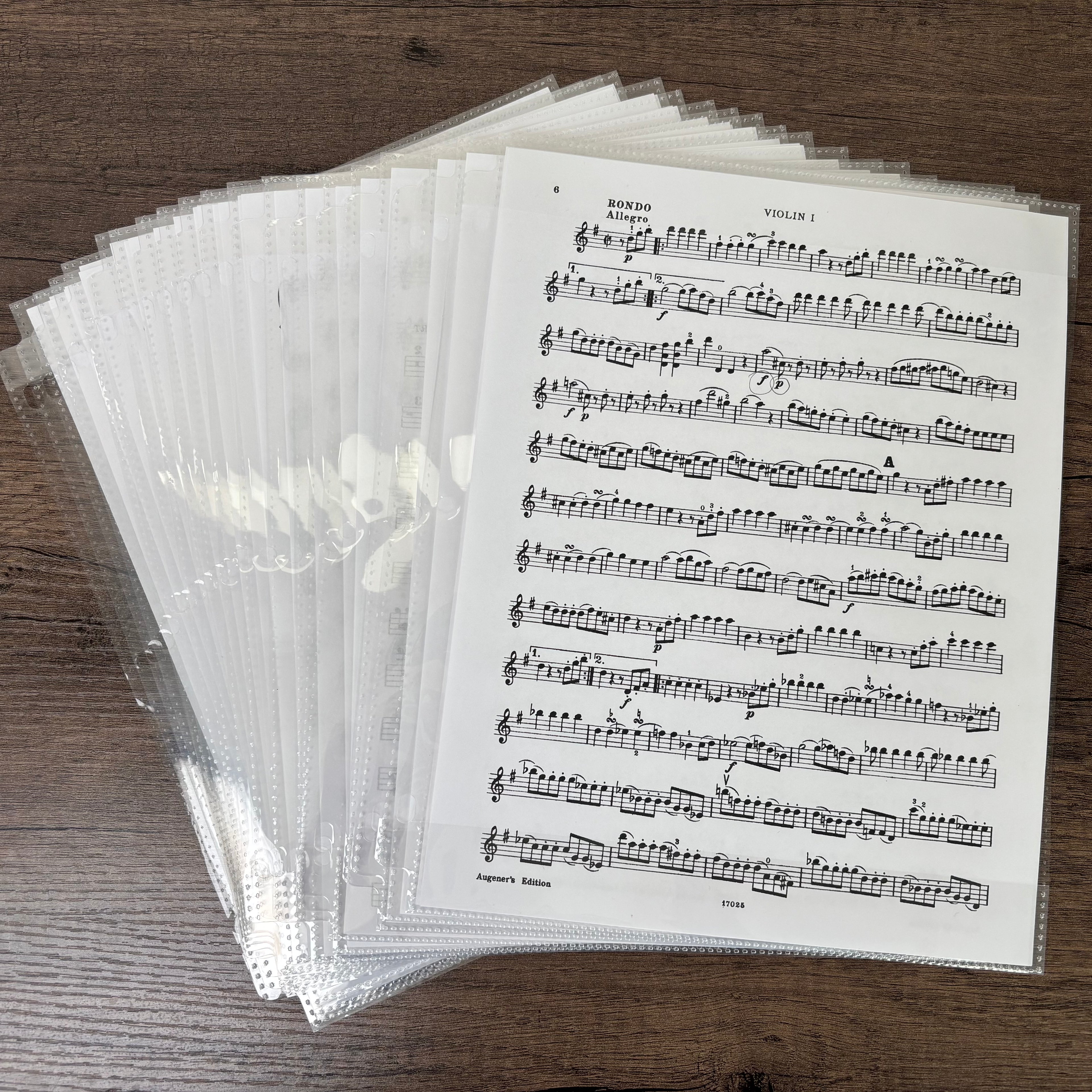 Writable Sheet Music Protectors